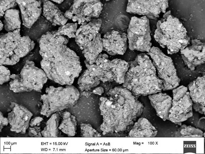Scanning electron micrograph showing the heterogeneous texture of sewage-sludge-derived biochar.
