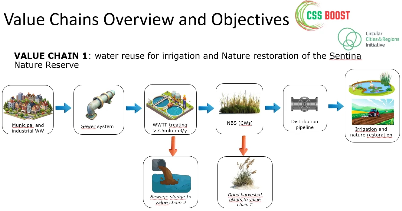 Pilot 2 water value-chain diagram linking wastewater treatment, nature-based polishing and reuse.